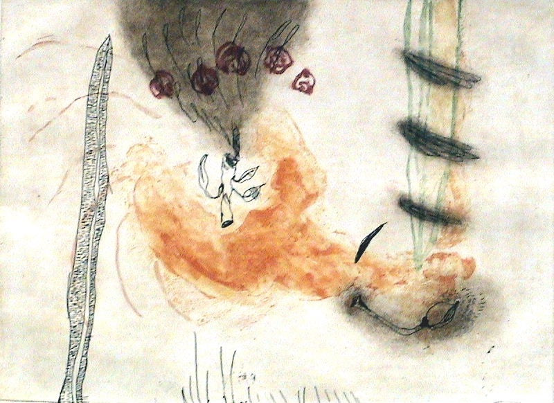 Magali Lara, "Cordura vegetal"