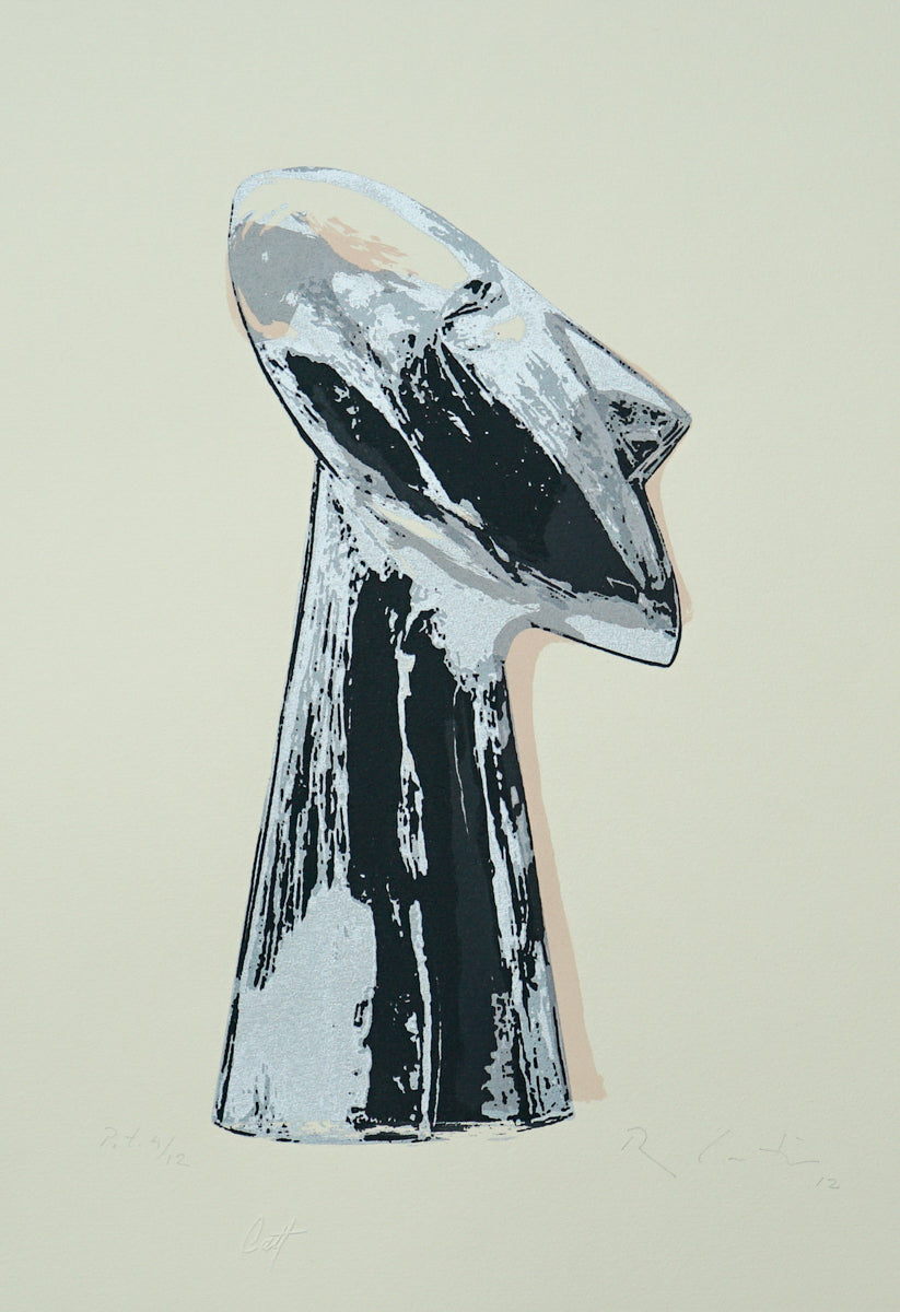 Roberto Cortazar, "El Visionario 12"